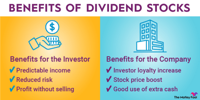 What Are the Advantages of Investing in Dividend Stocks?